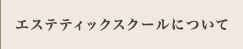 ワールドインターナショナルエステティックについて